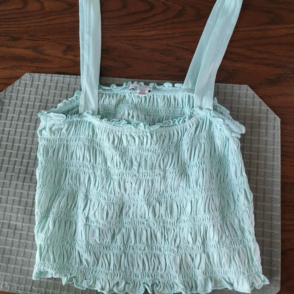 American Eagle Outfitters Light Blue Smocked Top cropped